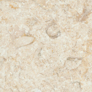 Jerusalem Gold Light