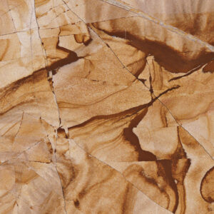 Teak Wood